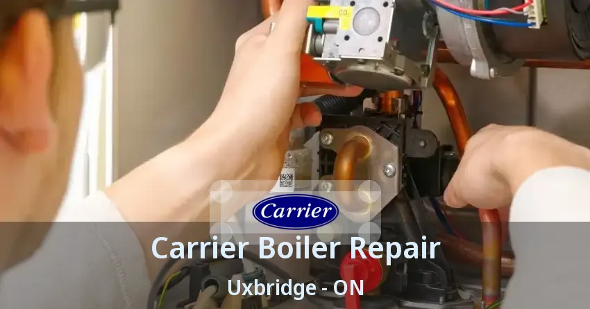 Carrier Boiler Repair Uxbridge - ON
