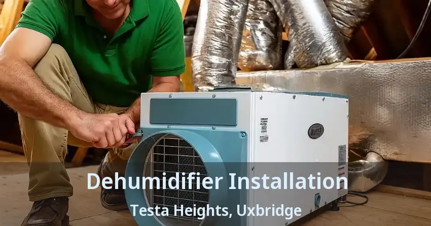 Dehumidifier Installation Testa Heights, Uxbridge - ON