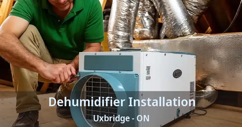 Dehumidifier Installation Uxbridge - ON