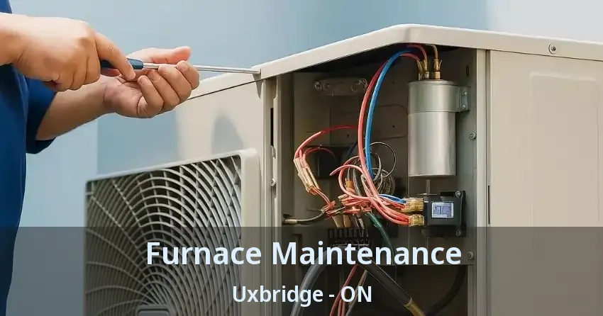 Furnace Maintenance Uxbridge - ON