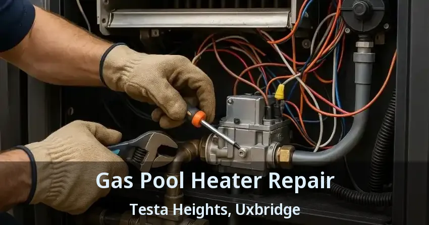 Gas Pool Heater Repair Testa Heights, Uxbridge - ON