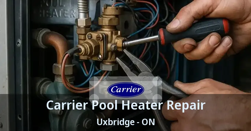 Carrier Pool Heater Repair Uxbridge - ON